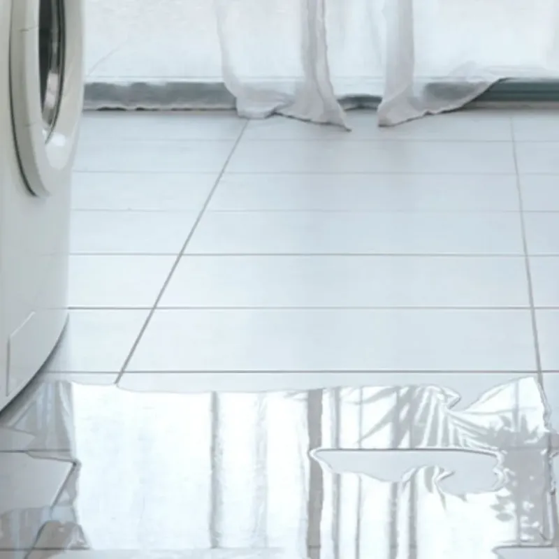 Appliance Leak Cleanup in Kitty Hawk, NC