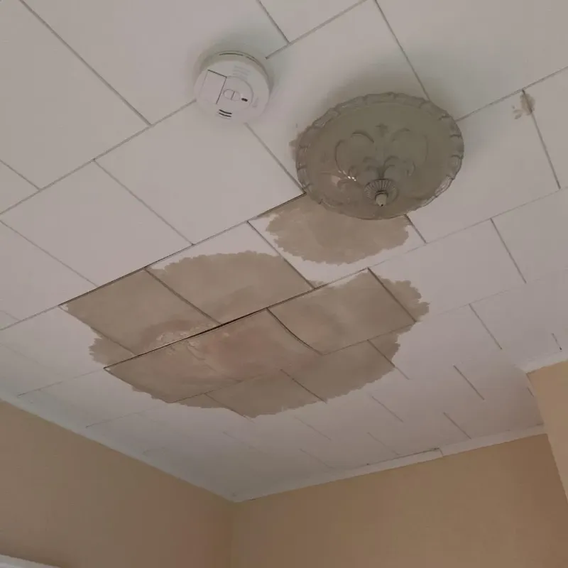 Ceiling Water Damage Repair in Kitty Hawk, NC