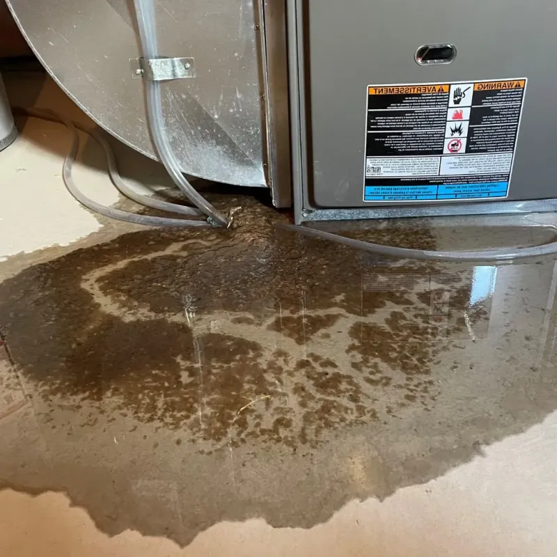 Pipe Burst and Leak Restoration in Kitty Hawk, NC